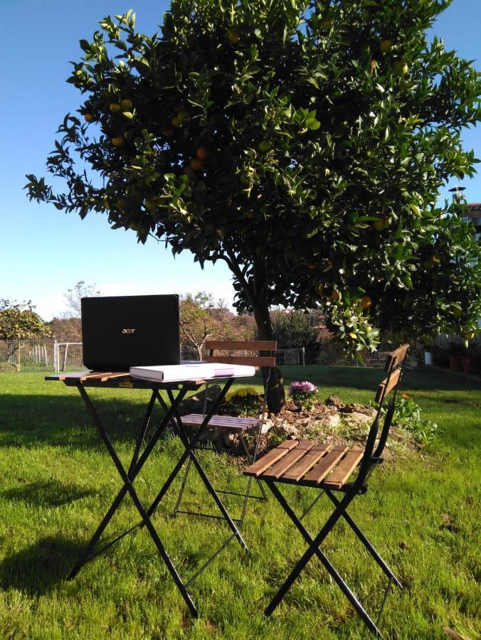 El Llagar - Sagasta Rural Oviedo Guest House ภายนอก รูปภาพ