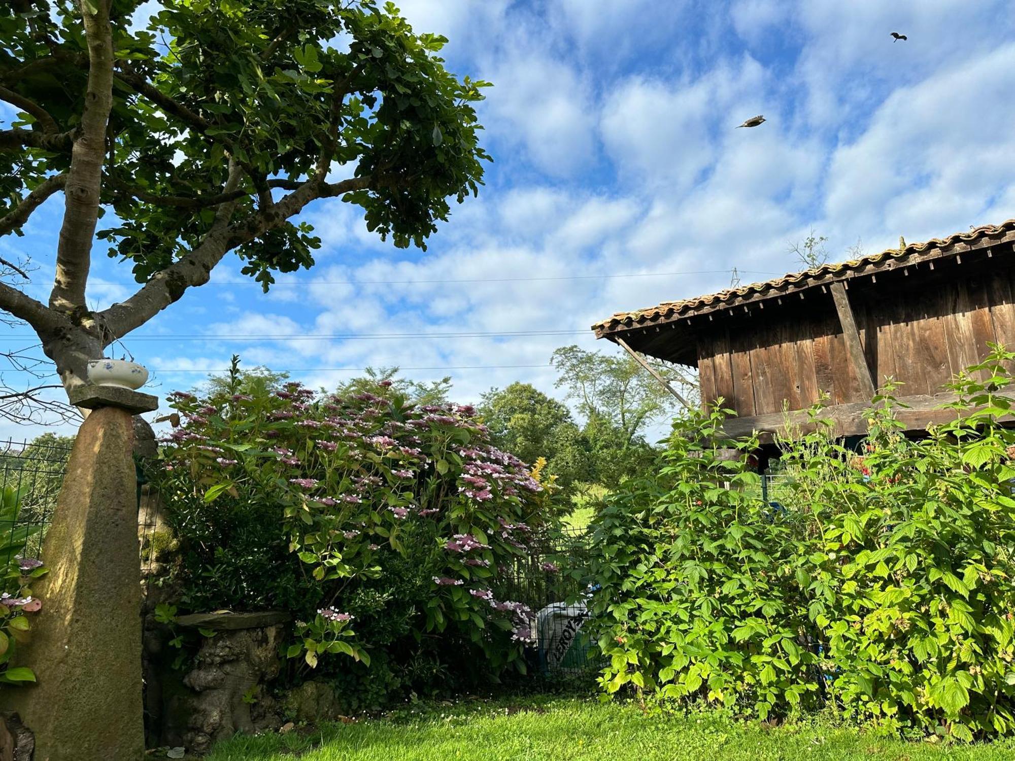 El Llagar - Sagasta Rural Oviedo Guest House ภายนอก รูปภาพ